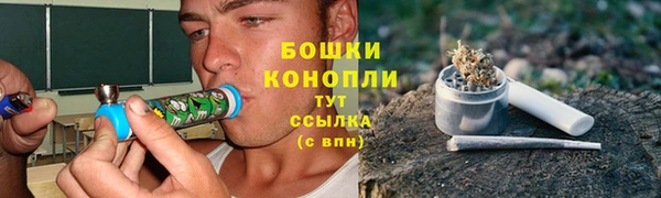 кокс Богородицк
