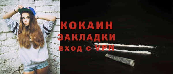кокс Богородицк