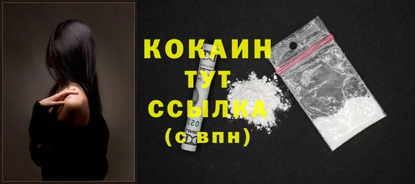 кокс Богородицк