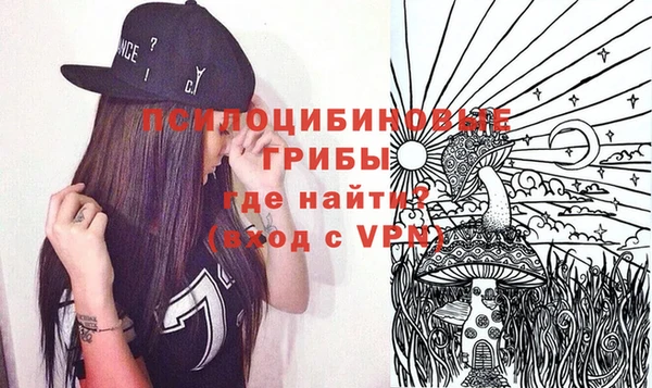 Альфа ПВП Богородск