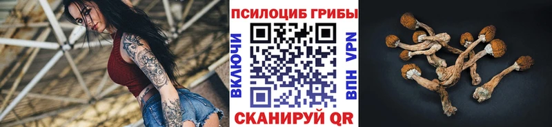 kraken сайт  Короча  Галлюциногенные грибы Magic Shrooms  купить  цена 